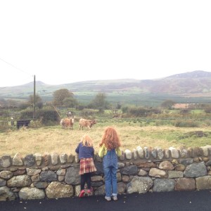 Polly-Had-A-Dolly-Blog - 1 (7)